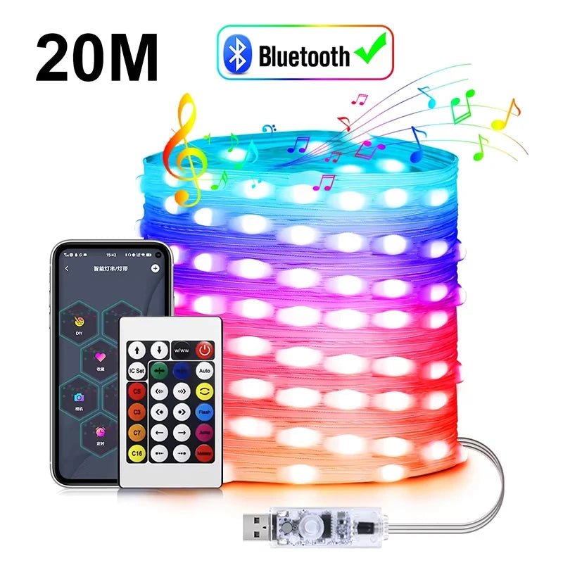 20M RGBIC LED String WS2812B Bluetooth USB Music Dream Color Light - Omystec