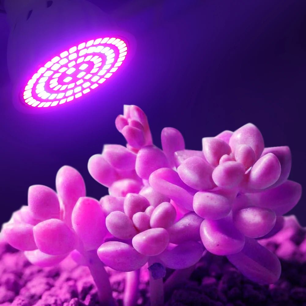 Led Grow Bulb 220V E27 60 80 LEDs Full Spectrum - Omystec