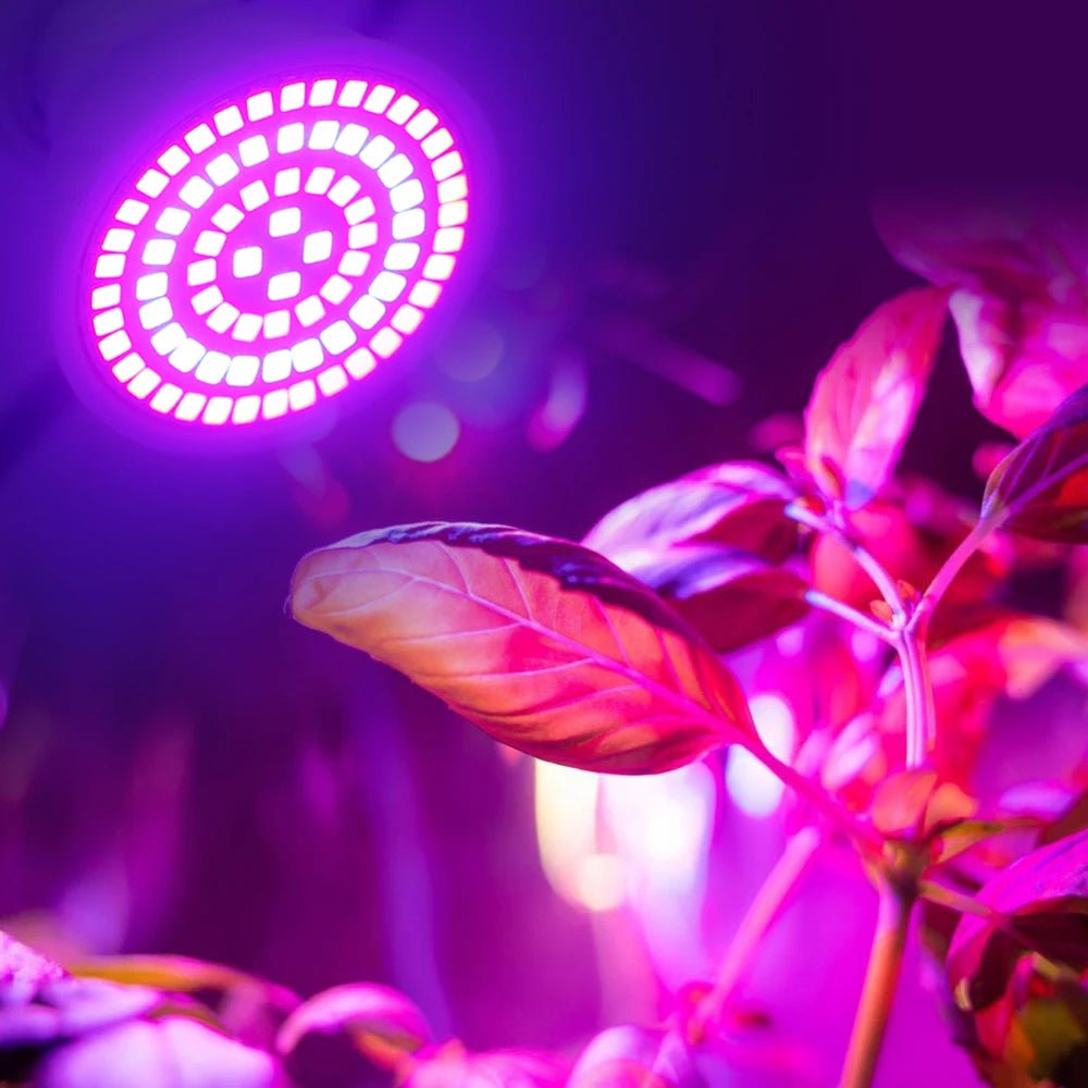 Led Grow Bulb 220V E27 60 80 LEDs Full Spectrum - Omystec