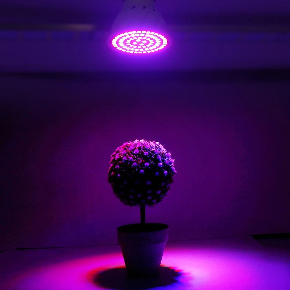 Led Grow Bulb 220V E27 60 80 LEDs Full Spectrum - Omystec