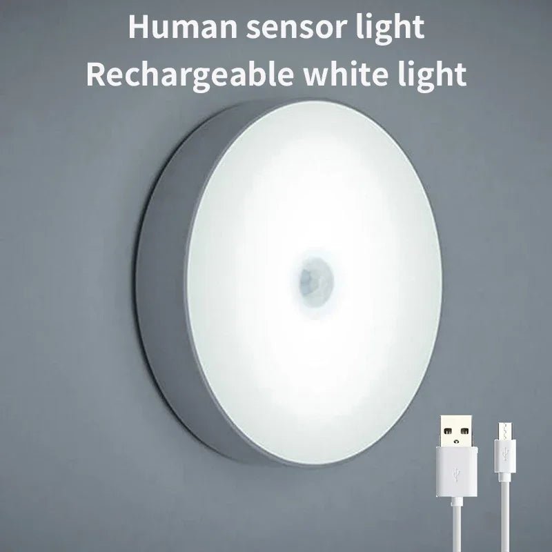 LED Smart Human Body Sensor Emergency Automatic Lighting Wireless - Omystec