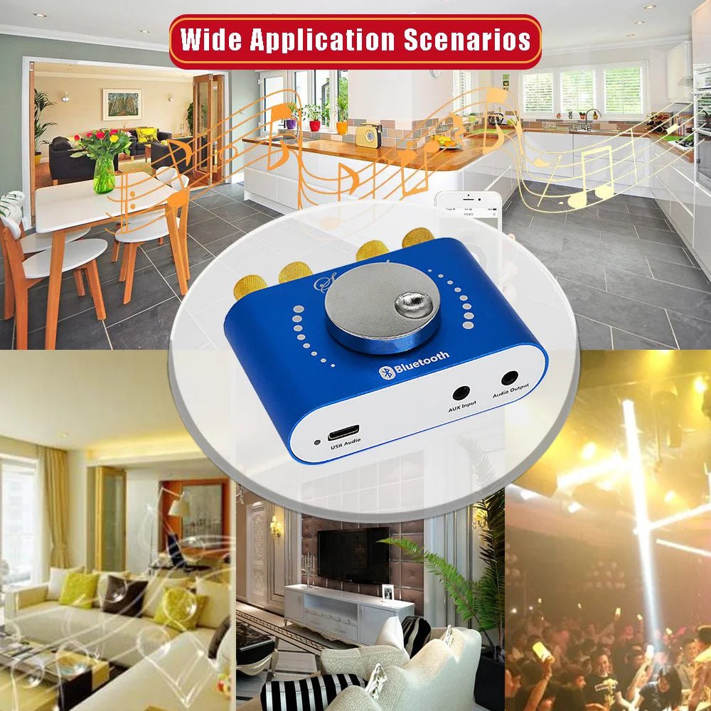 Mini Amplifier Bluetooth 5.0 Digital Audio HiFi Stereo - Omystec