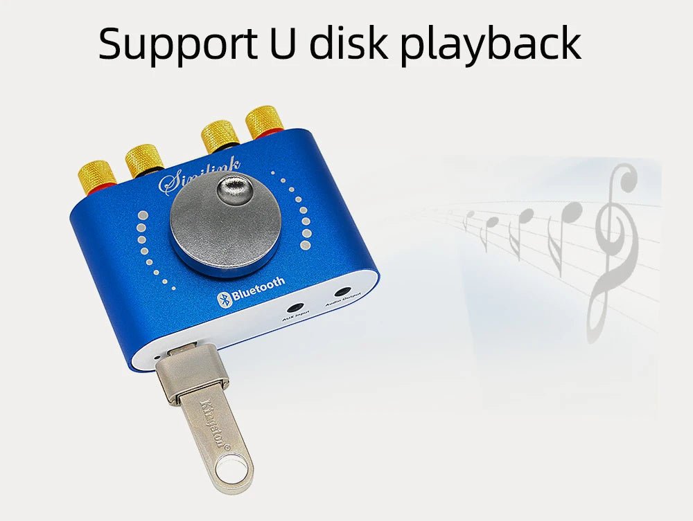 Mini Amplifier Bluetooth 5.0 Digital Audio HiFi Stereo - Omystec