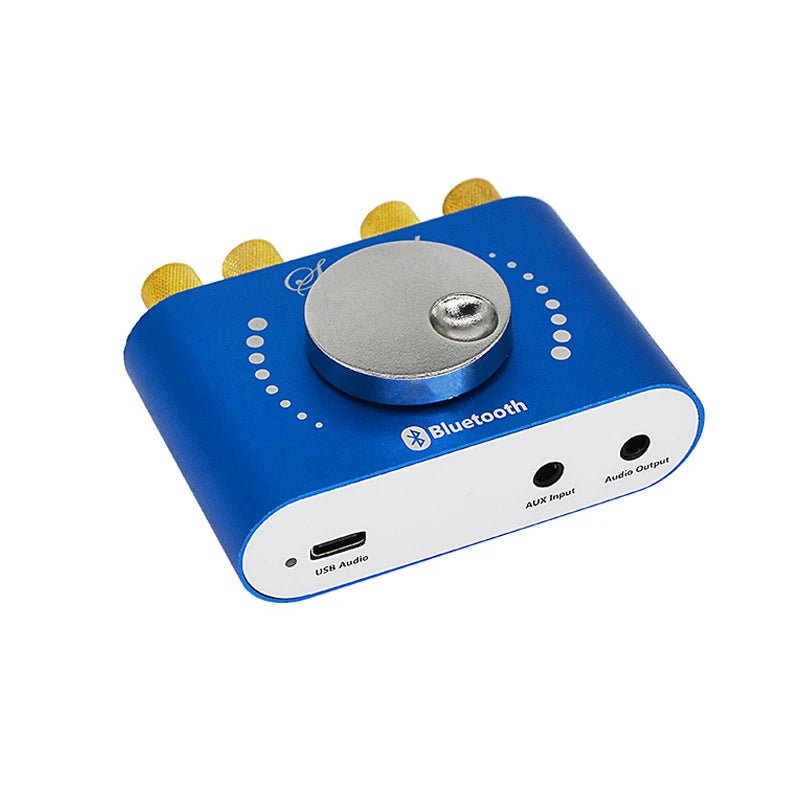 Mini Amplifier Bluetooth 5.0 Digital Audio HiFi Stereo - Omystec
