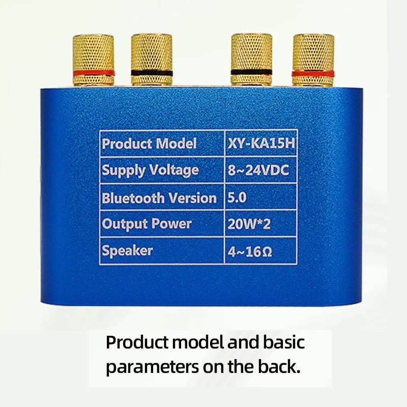 Mini Amplifier Bluetooth 5.0 Digital Audio HiFi Stereo - Omystec